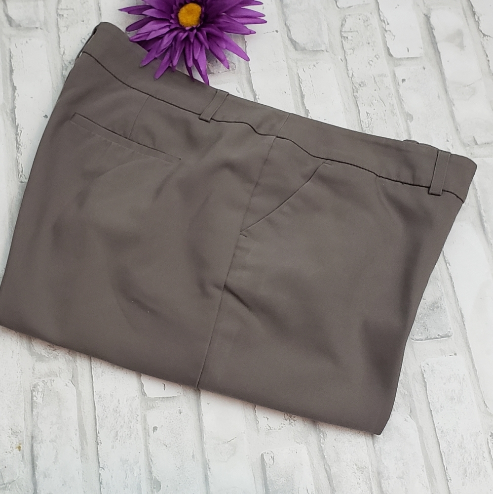 Apt. 9 Torie Women’s Taupe Dress Pants Size 16P